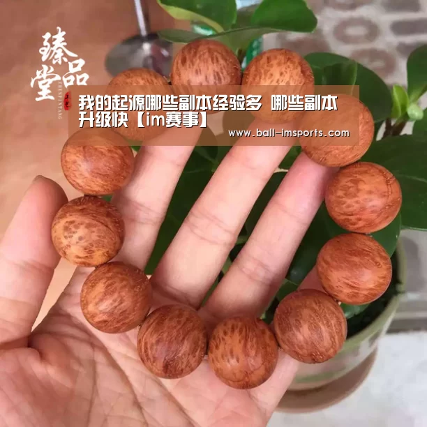 我的起源哪些副本经验多 哪些副本升级快【im赛事】